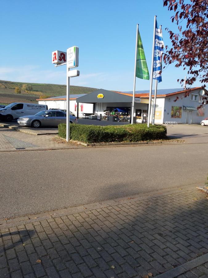 Ferienwohnung Toska Pfaffenweiler Esterno foto